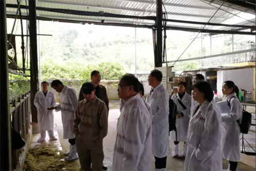 201904161646594659 公海彩船6600(中国游)官方网站